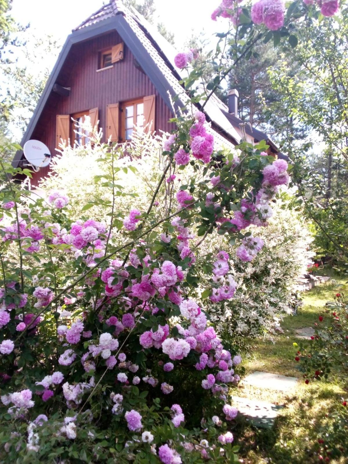 Plitvice Lakes Holiday Lodge Rudanovac 외부 사진